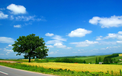 452864 (a): :1440x900